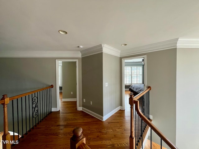 hall with ornamental molding and dark hardwood / wood-style flooring