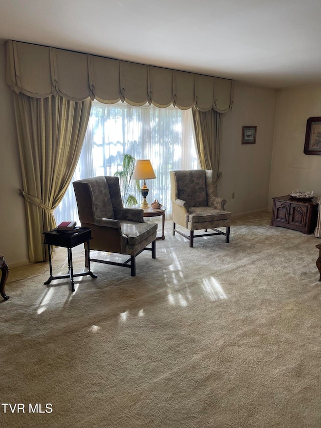 view of carpeted living room