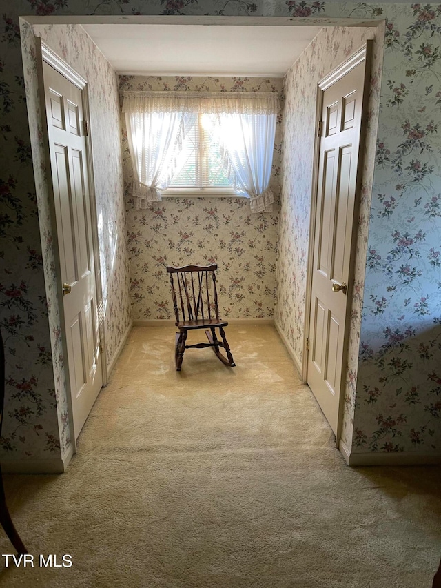 unfurnished room with light colored carpet