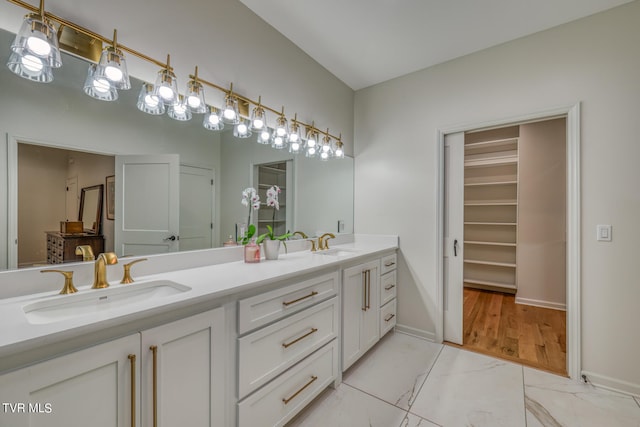 bathroom with hardwood / wood-style flooring and vanity