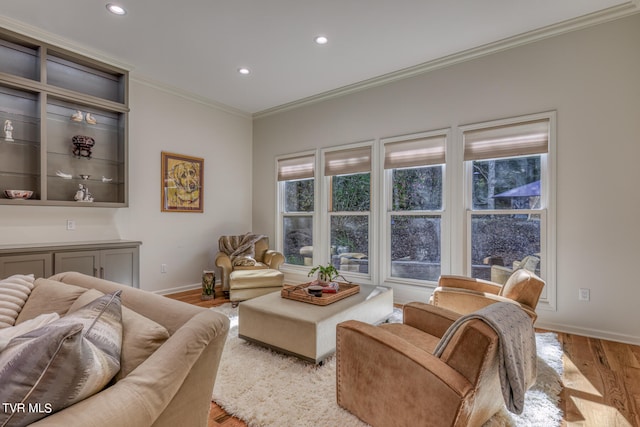 living room featuring ornamental molding and light hardwood / wood-style flooring