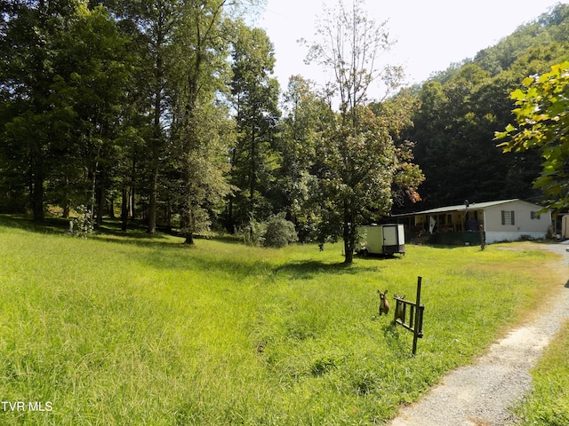 view of yard featuring a mountain view and a shed