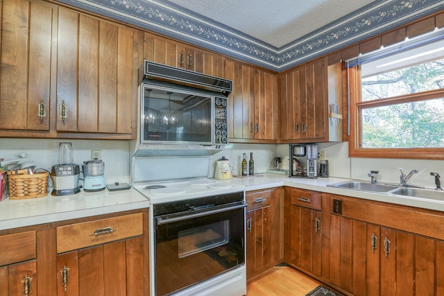 kitchen with sink, white range with electric stovetop, light hardwood / wood-style flooring, and a textured ceiling