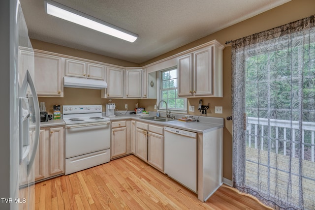 kitchen with sink, a textured ceiling, light wood-type flooring, and white appliances