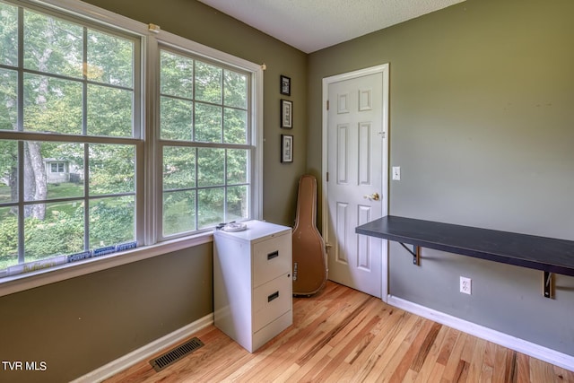 105 Buckner Dr, Roan Mountain, TN 37687 - interior space with light wood-type flooring, baseboards, visible vents, and a textured ceiling