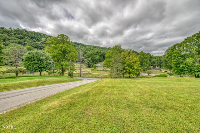 view of home's community with a yard