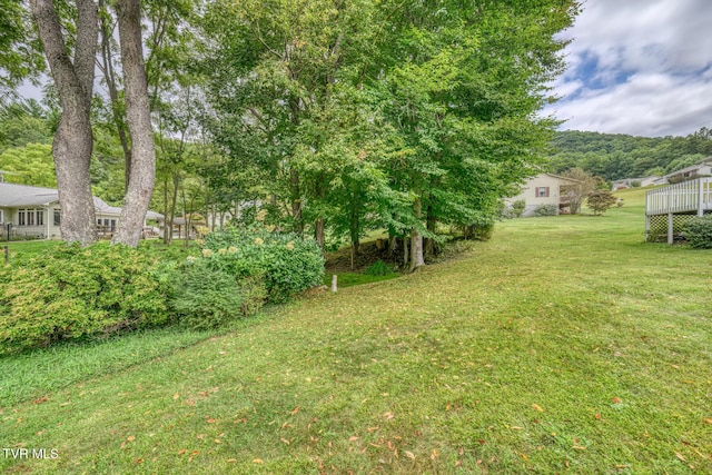 105 Buckner Dr, Roan Mountain, TN 37687 - view of yard