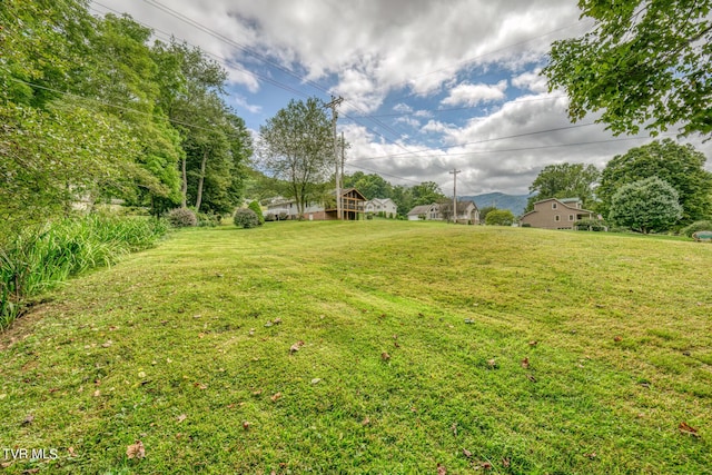 105 Buckner Dr, Roan Mountain, TN 37687 - view of yard