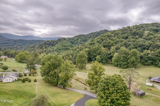 bird's eye view featuring a mountain view