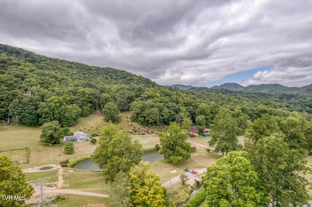 105 Buckner Dr, Roan Mountain, TN 37687 - drone / aerial view featuring a view of trees and a mountain view