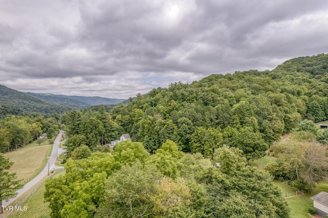 105 Buckner Dr, Roan Mountain, TN 37687 - drone / aerial view featuring a wooded view