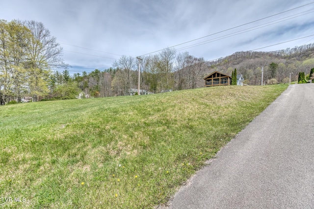105 Buckner Dr, Roan Mountain, TN 37687 - view of street with a view of trees