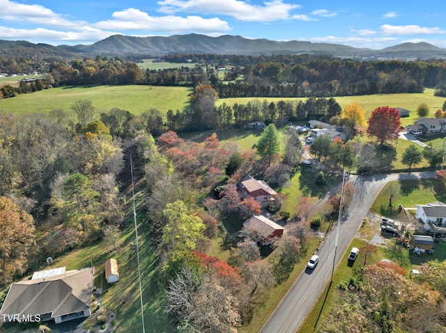 aerial view with a mountain view