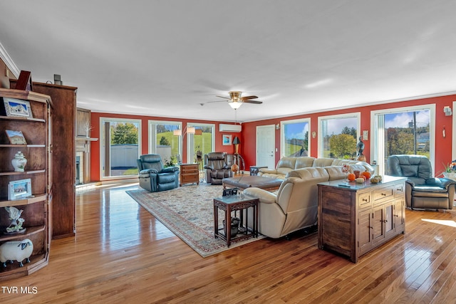 living room with an AC wall unit, crown molding, ceiling fan, and light hardwood / wood-style floors