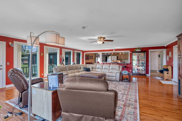 living room featuring crown molding, ceiling fan, and light hardwood / wood-style floors