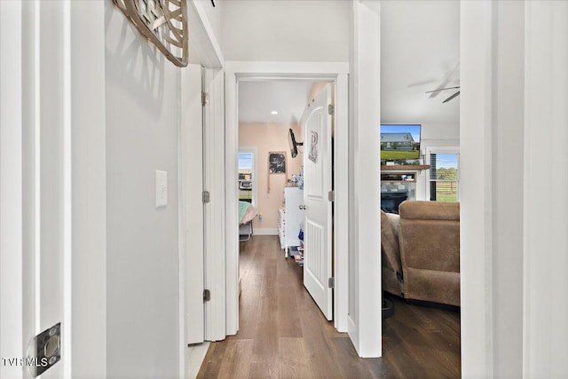 hallway featuring dark hardwood / wood-style flooring