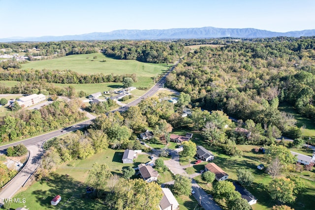 birds eye view of property with a mountain view