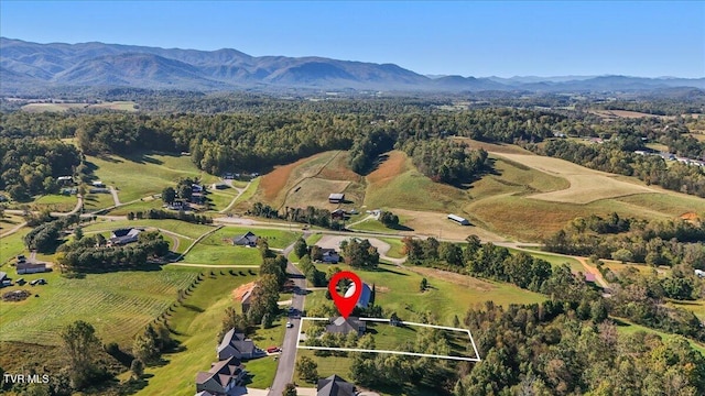 aerial view with a mountain view