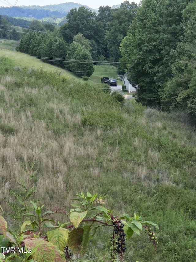 150 Barker Rd, Gray, TN 37615
