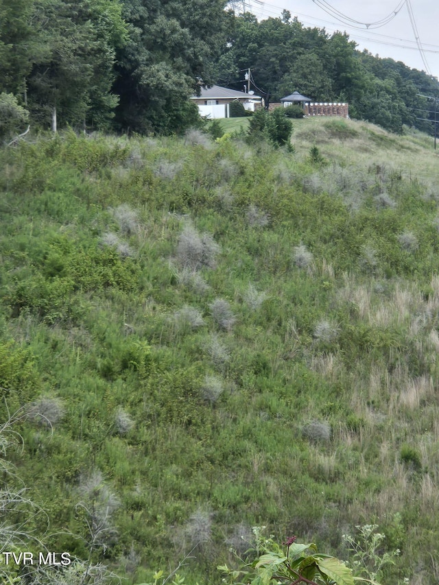 150 Barker Rd, Gray, TN 37615