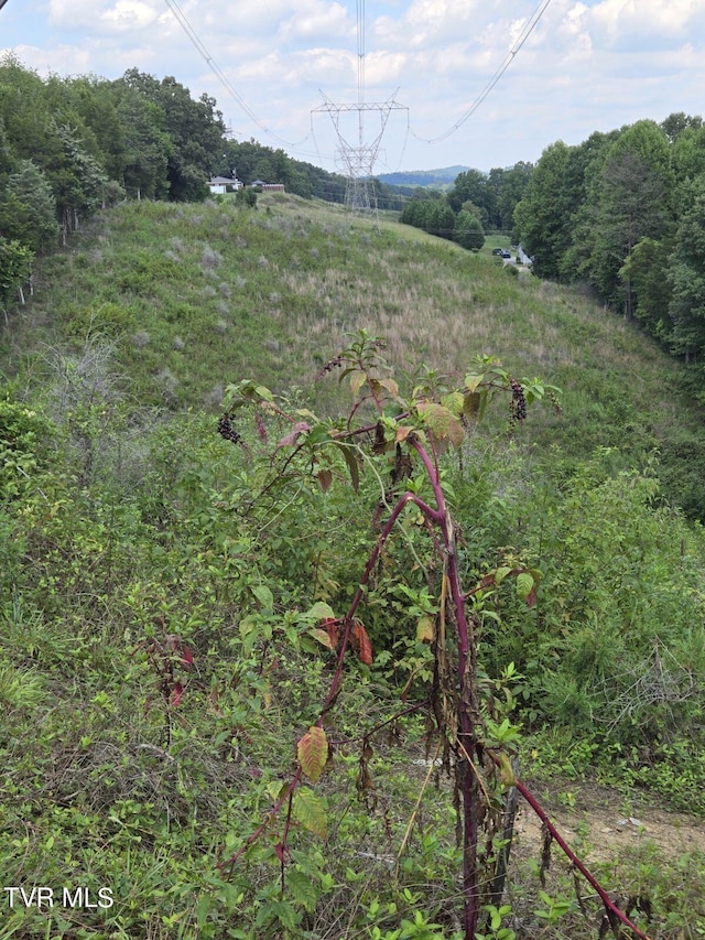 150 Barker Rd, Gray, TN 37615