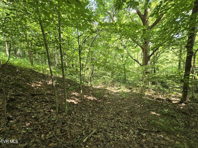 150 Barker Rd, Gray, TN 37615