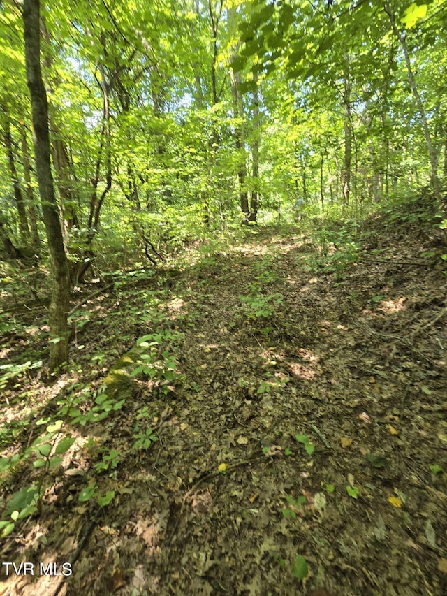 150 Barker Rd, Gray, TN 37615