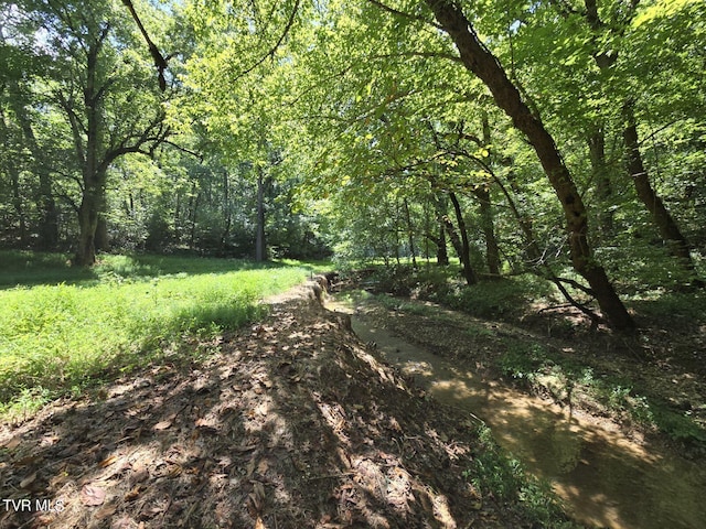 150 Barker Rd, Gray, TN 37615