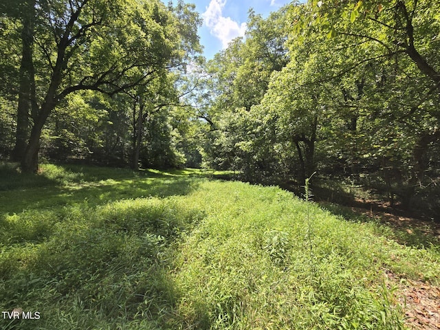 150 Barker Rd, Gray, TN 37615