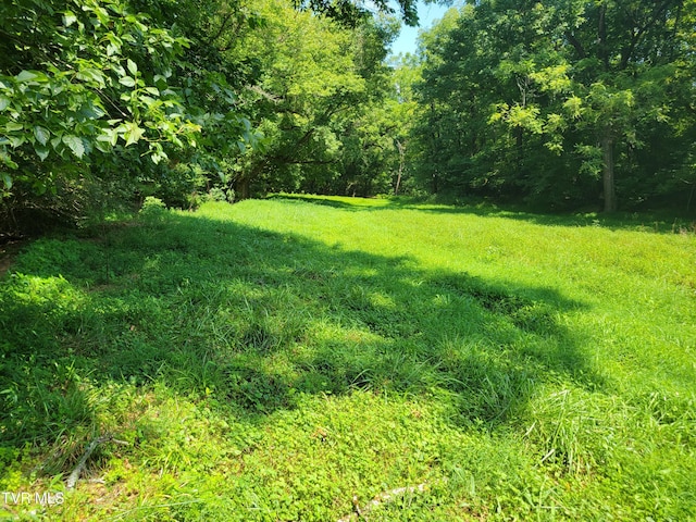 150 Barker Rd, Gray, TN 37615