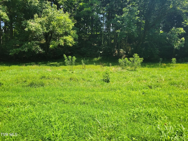 150 Barker Rd, Gray, TN 37615