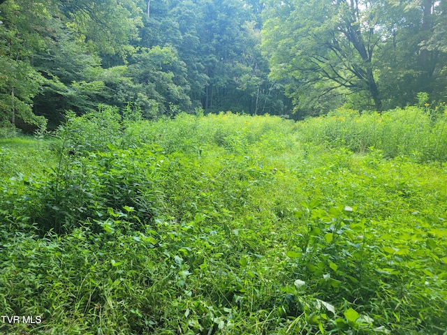150 Barker Rd, Gray, TN 37615