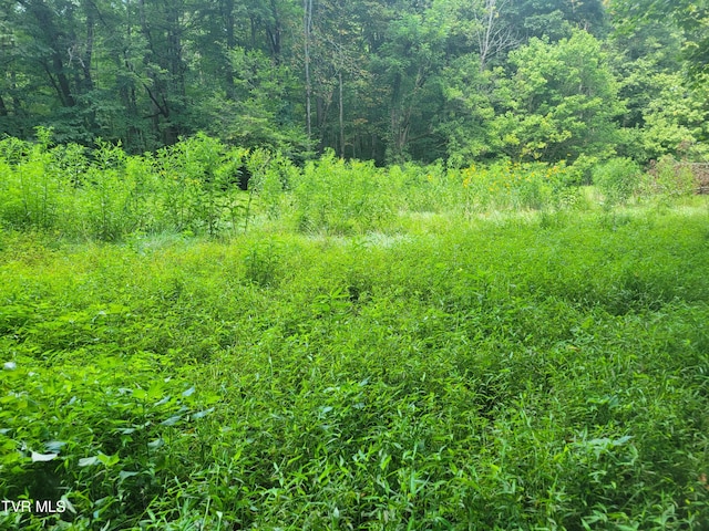 150 Barker Rd, Gray, TN 37615
