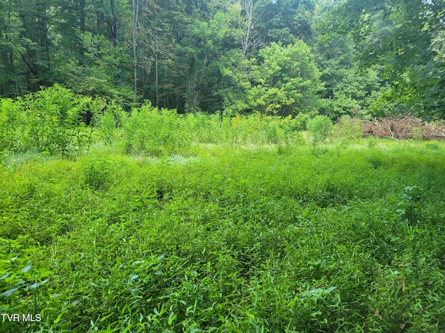 150 Barker Rd, Gray, TN 37615