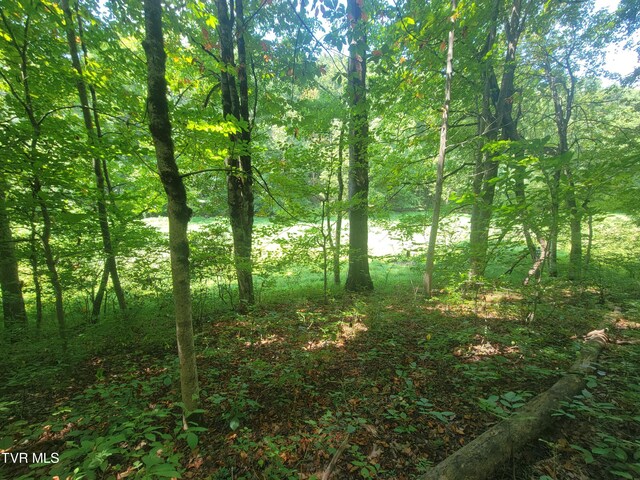 150 Barker Rd, Gray, TN 37615