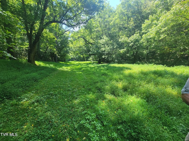 150 Barker Rd, Gray, TN 37615