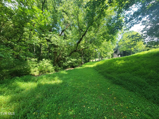 150 Barker Rd, Gray, TN 37615