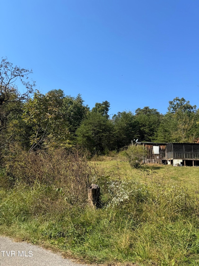 view of yard featuring a deck