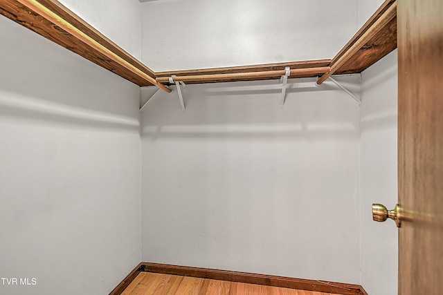 spacious closet featuring wood-type flooring