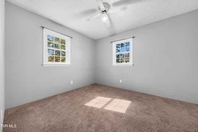 520 Hospital Hill Rd, Mountain City, TN 37683 - photo 26