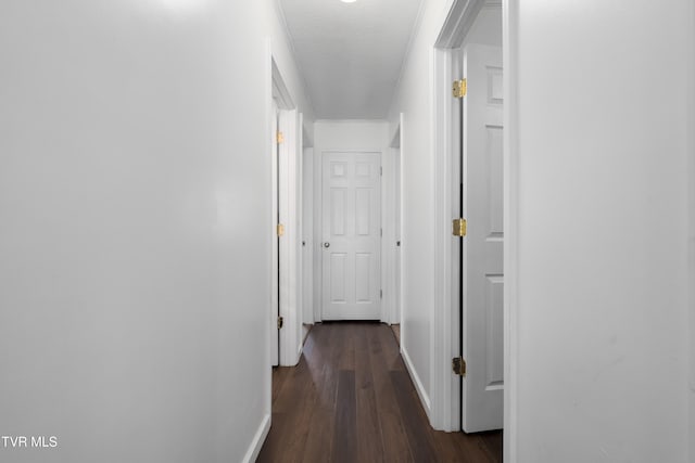 hallway with dark wood-type flooring and a textured ceiling