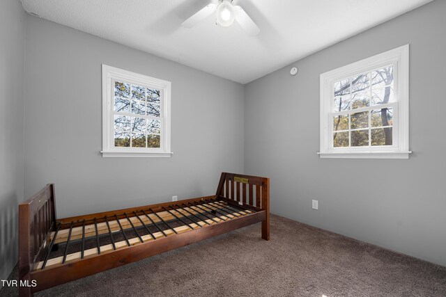 520 Hospital Hill Rd, Mountain City, TN 37683 - photo 25