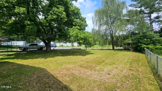 10 Powell Valley Rd, Big Stone Gap, VA 24219 - view of yard