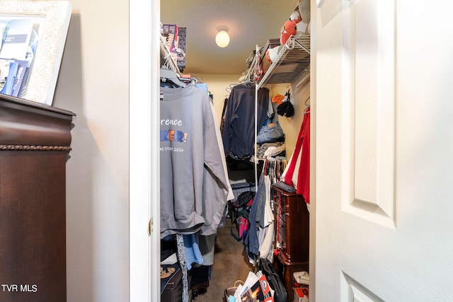 view of walk in closet