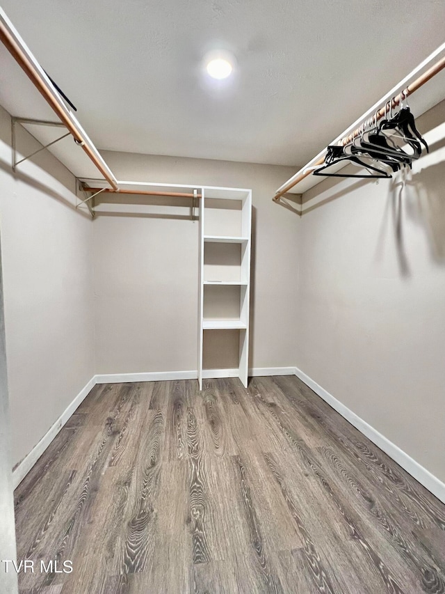 walk in closet with hardwood / wood-style flooring