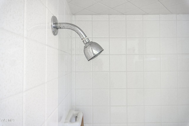 1021 Tusculum Blvd, Greeneville, TN 37745 - interior details with a tile shower