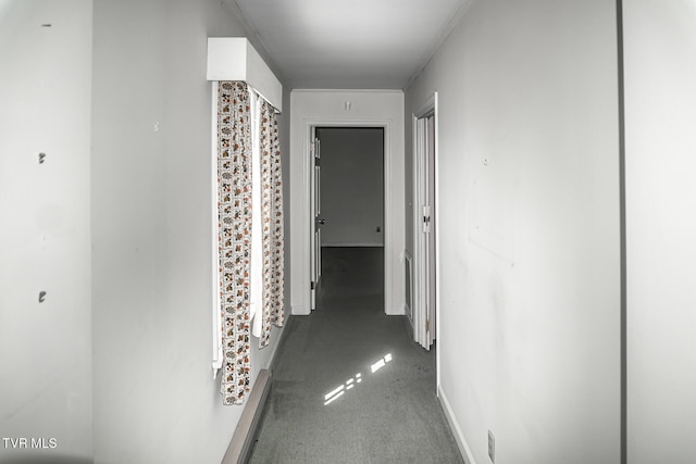 1021 Tusculum Blvd, Greeneville, TN 37745 - hall featuring baseboards and carpet