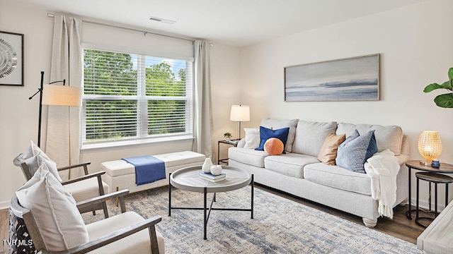 living room featuring dark wood-type flooring