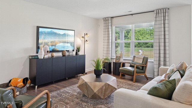 living room featuring dark wood-type flooring