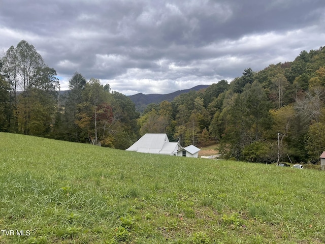 view of mountain feature featuring a wooded view